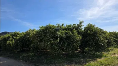 Terreno en venta en Pedreguer - Vista 3