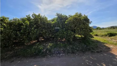 Terreno en venta en Pedreguer - Vista 5