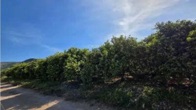 Terreno en venta en Pedreguer - Más