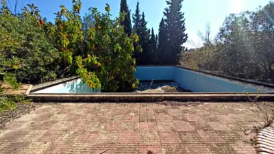 Apartment in Pedreguer photo 4