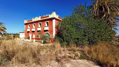 Apartment in Pedreguer photo 5