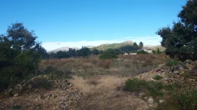 Terreno en venta en Murla - Vista 3