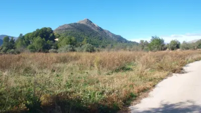 Terreno en venta en Murla - Vista 5