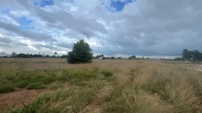 Terreno en venta en El Verger - Vista 3