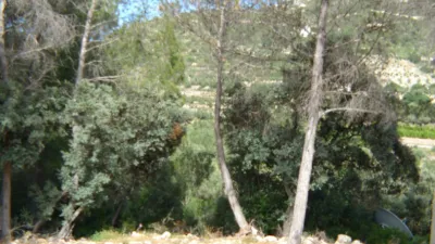 Terreno en venta en Alcalalí - Vista 2