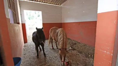 Rustic finca in Orba photo 10