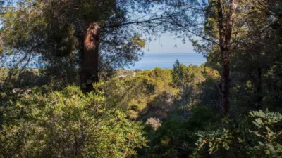 Terreno en venta en Rt Montaña - Vista 4