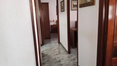 Apartment in Nou Campanar photo 20