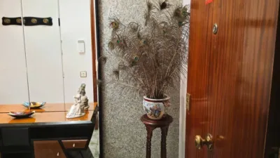 Apartment in Nou Campanar photo 3
