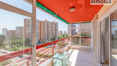 Pis – Alicante - Alacant - Vista 2