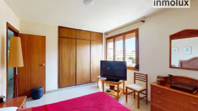 Apartment on Avenida del Alcalde Lorenzo Carbonell photo 16