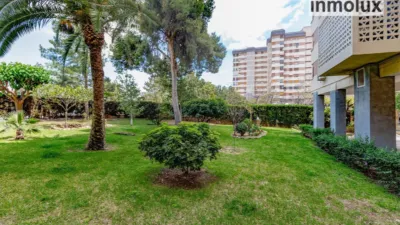 Apartment on Avenida del Alcalde Lorenzo Carbonell photo 6