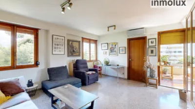 Apartment on Avenida del Alcalde Lorenzo Carbonell photo 9