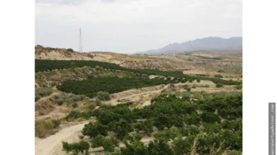 Rustic farm in Los Gallardos photo 2