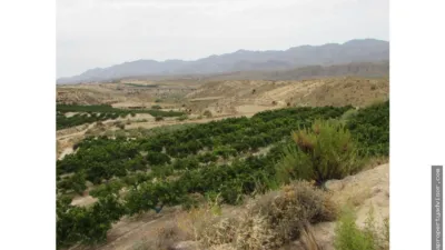 Rustic farm in Los Gallardos photo 3