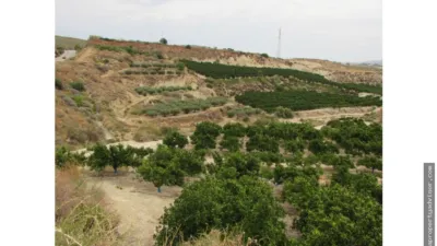 Rustic farm in Los Gallardos photo 4