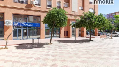 Pis – Monforte del Cid, Mujeres Deportistas, el Vinalopó Mitjà / El Vinalopó Medio - Vista 2