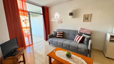 Apartment on Avenida Juan Carlos I photo 3