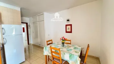 Apartment on Avenida Juan Carlos I photo 4