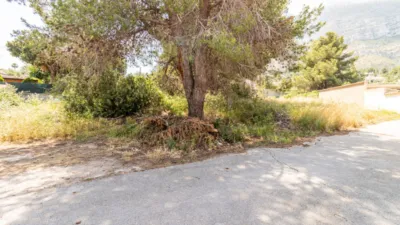 Terreno en venta en Mon Alto - Vista 3