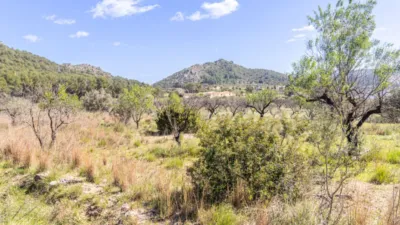Terreno en venta en La Plana - Vista 3