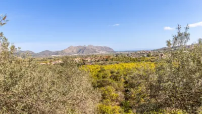 Terreno en venta en La Plana - Vista 4