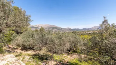 Terreno en venta en La Plana - Más