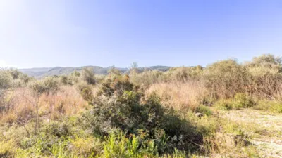Terreno en venta en Montesano - Vista 3