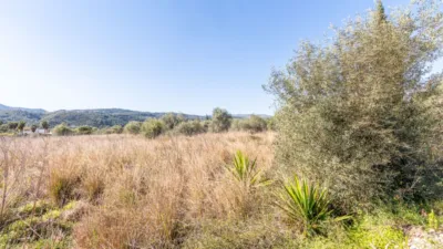 Terreno en venta en Montesano - Vista 4