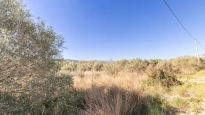 Terreno en venta en Montesano - Vista 5