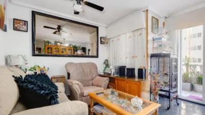 Apartment in Punta Prima photo 10