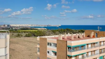 Apartment in Punta Prima photo 22