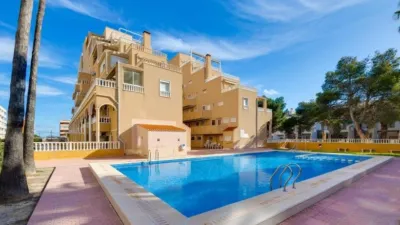 Apartment in Punta Prima photo 24