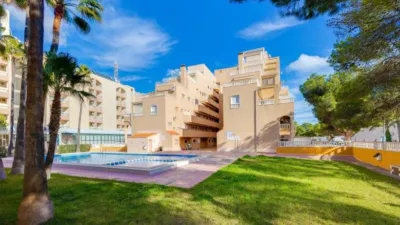 Apartment in Punta Prima photo 26