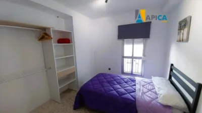 Apartment in Zona Nueva photo 24