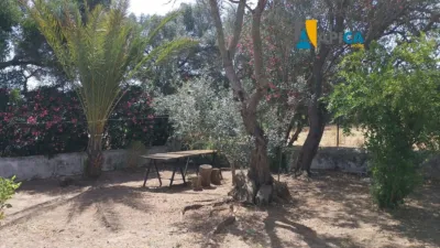 Chalet in El Poblado de Valero photo 5