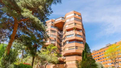 Apartment on Calle de Guatemala photo 2