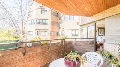 Apartment on Calle de Guatemala photo 7
