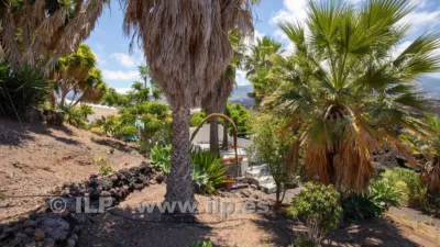 House on La Laguna Street, Los Llanos — Isla de La Palma, Canary Islands photo 70