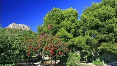 Apartment in Urbanizations photo 9