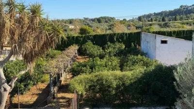 Piso – Dénia, Marquesa VI, la Pedrera - Vista 5