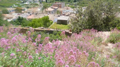 Terreno en venta en Llosa de Camacho - Vista 2