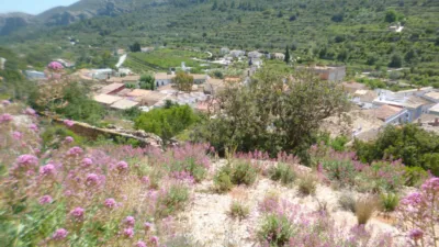 Terreno en venta en Llosa de Camacho - Vista 4