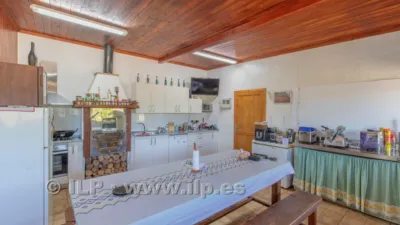 House on Camino del Pinar photo 10