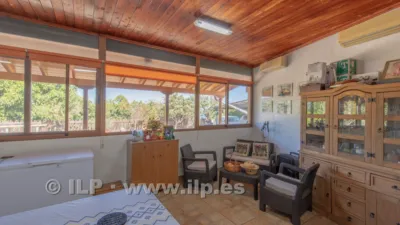 House on Camino del Pinar photo 13