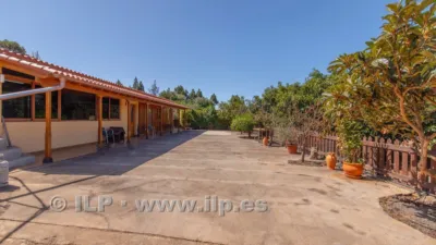 House on Camino del Pinar photo 34