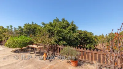 House on Camino del Pinar photo 38