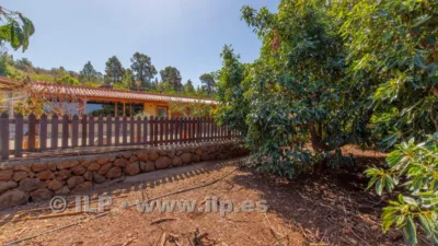 House on Camino del Pinar photo 41