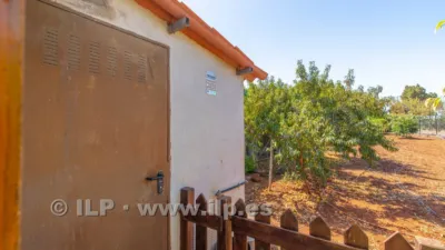 House on Camino del Pinar photo 42
