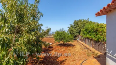 House on Camino del Pinar photo 43